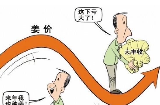 “姜你軍”跌的最狠 是咋回事呢,？