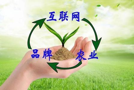 “互聯(lián)網(wǎng)+農(nóng)業(yè)+品牌”等于什么,？