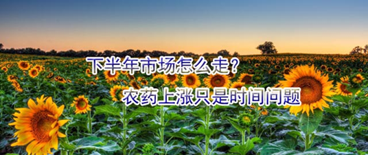 下半年市場(chǎng)怎么走,？農(nóng)藥上漲只是時(shí)間問題