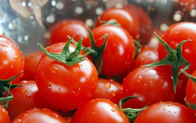 西紅柿,、煙草青枯病最新研究發(fā)現(xiàn)“靶向療法”
