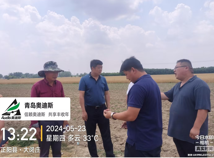 名譽董事長躬身入局下市場,，田間地頭調(diào)研忙
